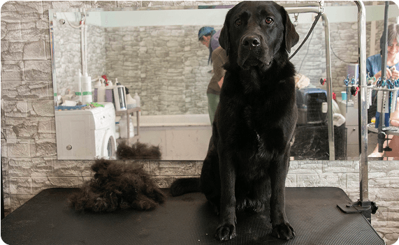 Отзыв от Шери, 3 года