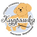 Логотип Кудряшка